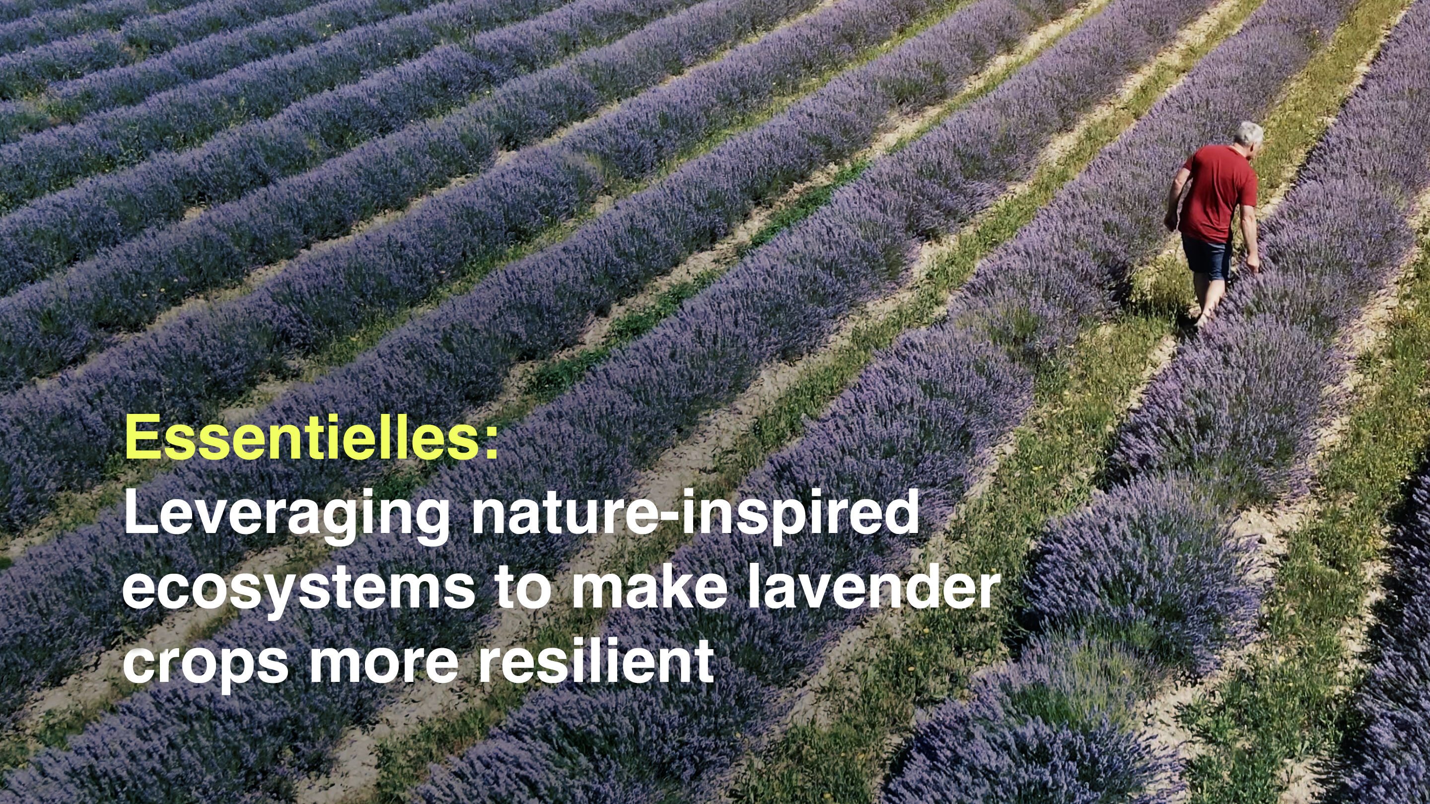 Essentielles - An InTent & Givaudan Foundation short film