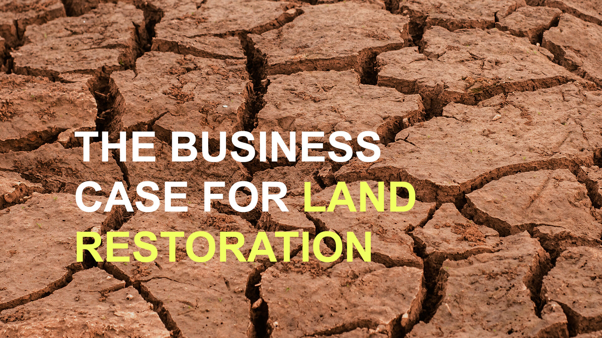 The business case for land restoration