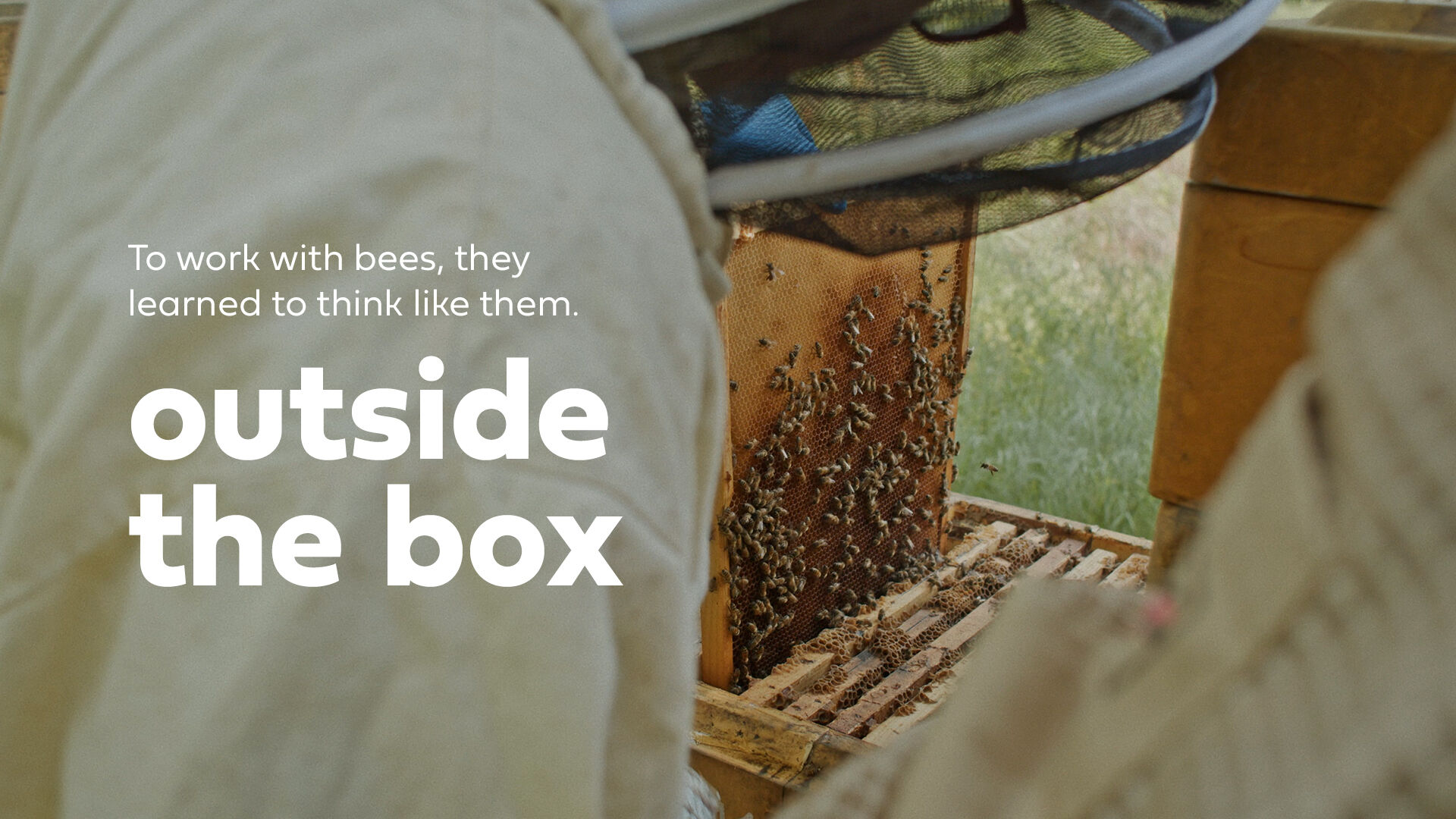 Outside the box  - To work with bees, they learned to think like them